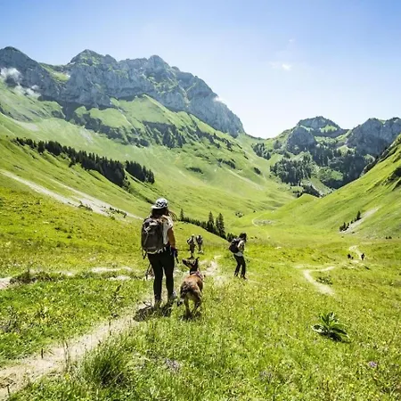 Le Reve Rev Mountain & Sun 5 Pers Апартаменты Шатель